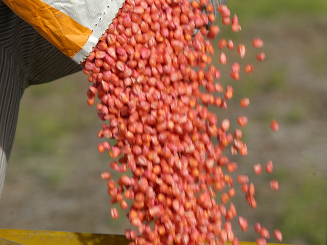 Mycogen Seeds is moving away from the trait-driven seed pricing strategy in hopes of re-establishing the connection between commodity value and seed price. (DTN/Progressive Farmer file photo)